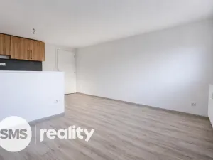 Pronájem bytu 1+kk, Opava - Předměstí, Resslovo nábřeží, 30 m2