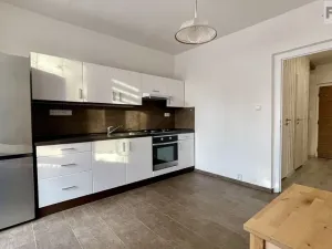 Pronájem bytu 1+1, Ostrava, Lechowiczova, 45 m2