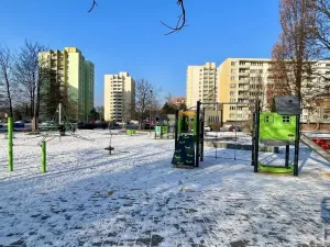 Pronájem bytu 1+1, Ostrava, Lechowiczova, 45 m2