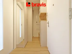 Pronájem bytu 1+kk, Brno - Staré Brno, Rybářská, 33 m2
