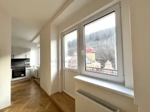 Pronájem bytu 1+kk, Jáchymov, třída Dukelských hrdinů, 30 m2
