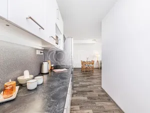 Prodej bytu 2+kk, Liberec - Liberec III-Jeřáb, U Nisy, 10145 m2