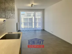 Pronájem bytu 2+kk, České Budějovice, U Branišovského lesa, 54 m2