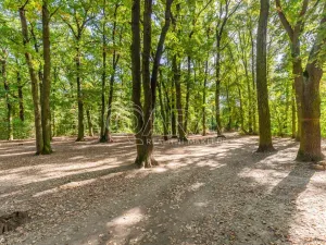 Prodej pozemku pro bydlení, Praha, 1452 m2