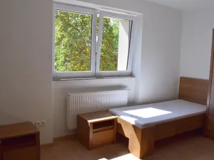 Pronájem komerční nemovitosti, Těšovice, 94 m2