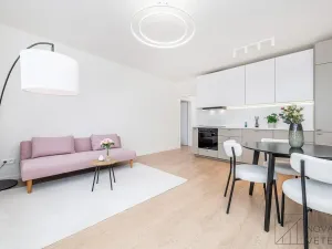 Prodej bytu 2+kk, Praha - Žižkov, Biskupcova, 47 m2