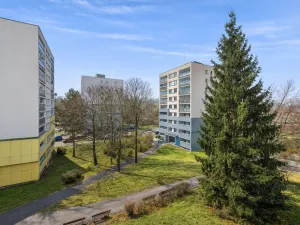 Prodej bytu 3+kk, Praha - Žižkov, Buková, 53 m2