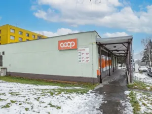 Prodej bytu 3+1, Jílové, Na rovině, 80 m2