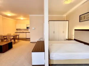 Pronájem bytu 1+kk, Karlovy Vary, Divadelní, 30 m2