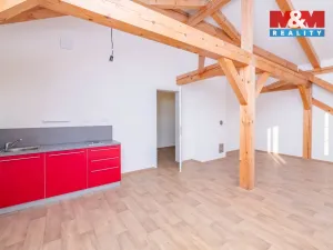 Pronájem bytu 1+kk, Studeněves, 47 m2