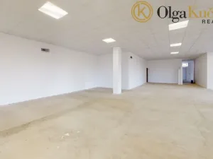Prodej obchodního prostoru, Svitavy, Lanškrounská, 868 m2