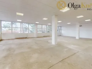 Prodej obchodního prostoru, Svitavy, Lanškrounská, 868 m2