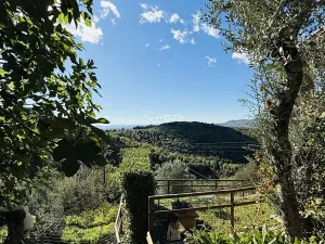 Prodej vily, Rapale, Itálie, 130 m2