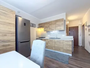 Prodej bytu 1+1, Jirkov, SNP, 39 m2