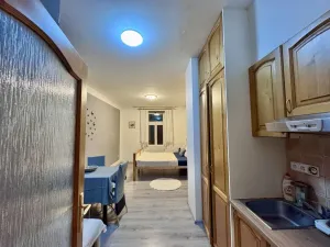 Pronájem bytu 1+kk, Praha - Vršovice, Donská, 30 m2