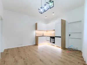 Prodej bytu 2+kk, Praha - Nusle, U křížku, 37 m2