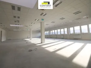 Pronájem výrobních prostor, Brandýs nad Labem-Stará Boleslav - Brandýs nad Labem, Pražská, 1800 m2