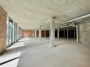 Prodej obchodního prostoru, Hradec Králové, Kollárova, 3447 m2