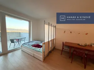 Pronájem bytu 1+kk, Brno, Provazníkova, 48 m2