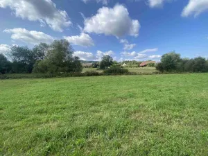 Prodej pozemku, Čížkov, 1885 m2