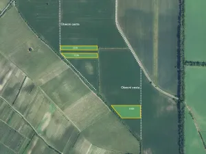 Prodej pole, Dolní Dunajovice, 34740 m2