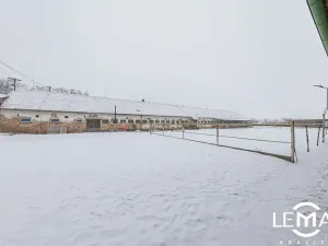 Prodej zemědělské usedlosti, Rosice, 398 m2