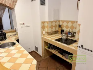 Pronájem bytu 3+kk, Praha - Vinohrady, Bělehradská, 132 m2