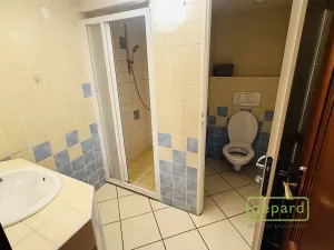 Pronájem bytu 3+kk, Praha - Vinohrady, Bělehradská, 132 m2