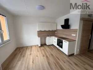 Pronájem bytu 1+1, Duchcov, Osecká, 39 m2
