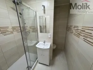 Pronájem bytu 1+1, Duchcov, Osecká, 39 m2