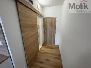 Pronájem bytu 1+1, Duchcov, Osecká, 39 m2