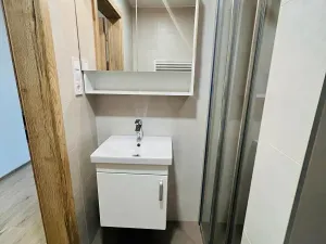 Pronájem bytu 1+kk, Olomouc, Frištenského, 32 m2
