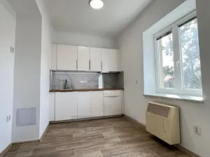 Pronájem bytu 2+1, České Budějovice - České Budějovice 6, Čechova, 61 m2