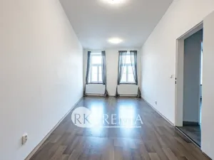 Pronájem bytu 4+1, Teplice, U Hadích lázní, 160 m2