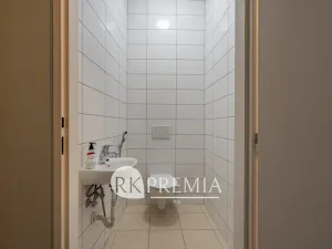 Pronájem bytu 4+1, Teplice, U Hadích lázní, 160 m2