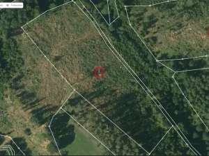 Prodej lesa, Okrouhlice - Vadín, 11240 m2