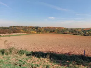 Prodej louky, Kouřim, 87548 m2