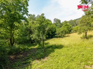 Prodej zahrady, Ryjice, 1648 m2