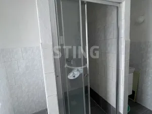 Prodej rodinného domu, Rozsochy, 205 m2