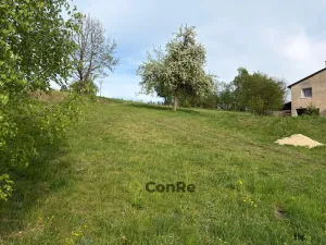 Prodej pozemku pro bydlení, Pulečný - Klíčnov, 898 m2
