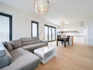 Pronájem bytu 3+kk, Praha - Žižkov, Olšanská, 86 m2