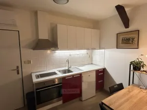 Pronájem bytu 1+kk, České Budějovice - České Budějovice 6, Mánesova, 22 m2