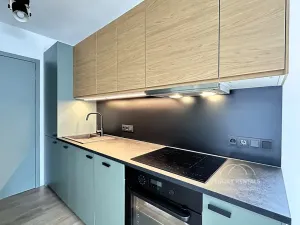 Pronájem bytu 3+kk, Hradec Králové, Přemyslova, 53 m2