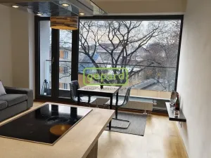 Pronájem bytu 2+kk, Brno - Zábrdovice, Slepá, 45 m2