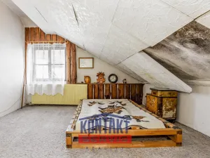 Prodej vícegeneračního domu, České Budějovice, Lidická tř., 286 m2