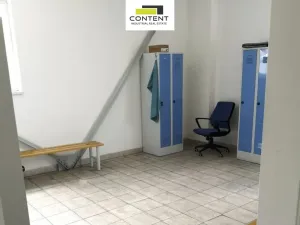 Pronájem skladu, Břeclav, Mládežnická, 793 m2