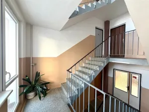 Pronájem bytu 2+1, Cheb, Americká, 61 m2