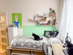 Prodej bytu 4+1, Brno, Blatnická, 84 m2