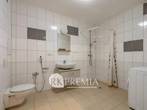 Pronájem bytu 3+kk, Teplice, U Hadích lázní, 86 m2