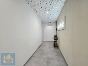 Pronájem ordinace, Praha - Michle, Jihlavská, 30 m2